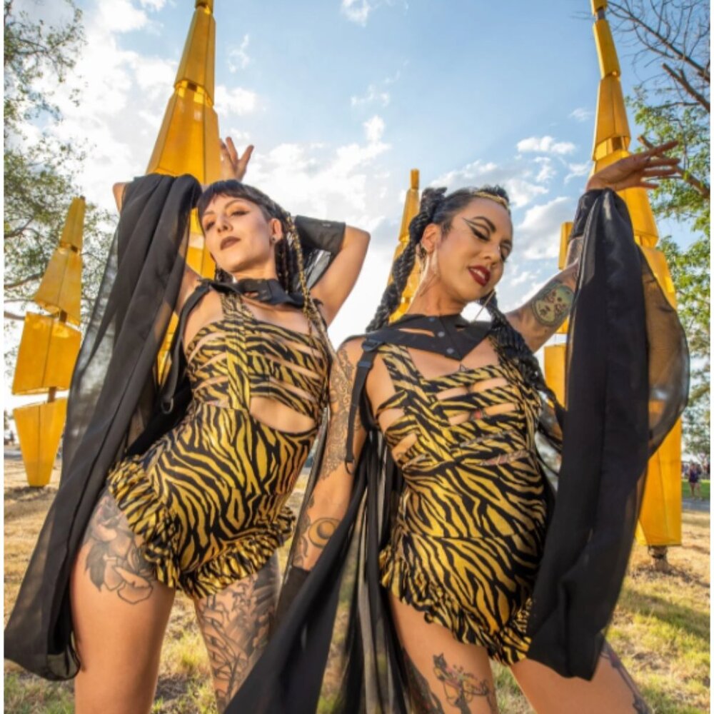 🚫SOLD🚫🦓🖤✨Five and Diamond Cage Bra Black Gold Zebra Medium💛🦓🚫SOLD🚫